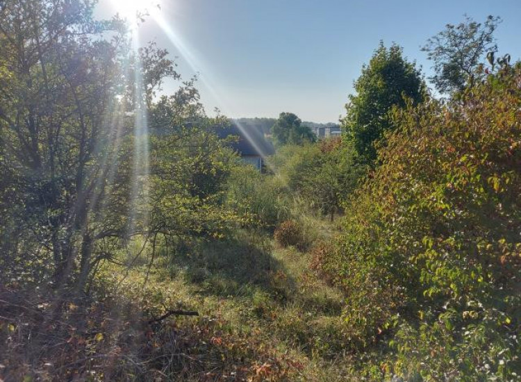 Działka Twardowice Twardowice