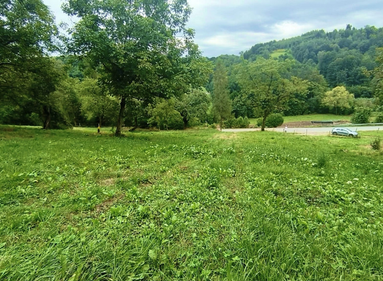 Działka budowlana 19 arów -Janowice, powiat tarnowski, gm. Pleśna Janowice