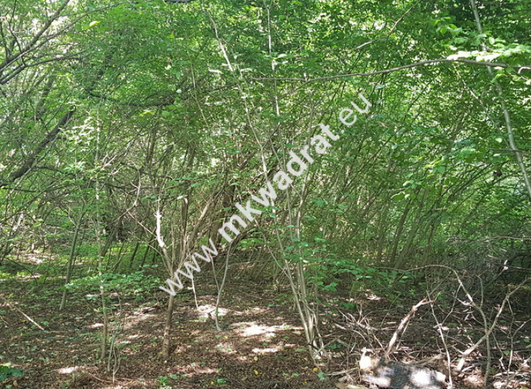 Działka budowlana 1 305 m², asfaltowy wjazd, prąd Otrębusy