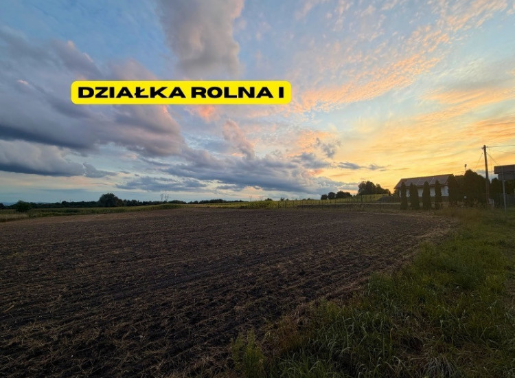 Działki rolne | 2.63 ha | Chełm Śląski | NJ INVESTMENT Chełm Śląski