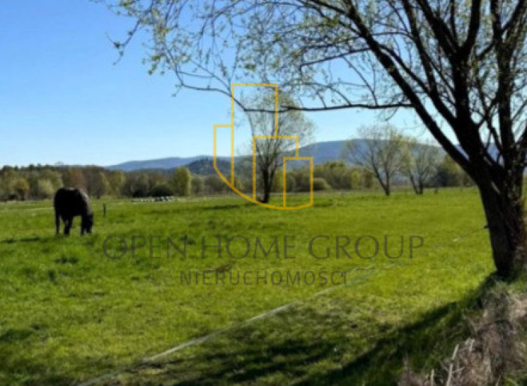 Ściegny gm. Podgórzyn, działki budowlane ok. 1098 m2 Ściegny