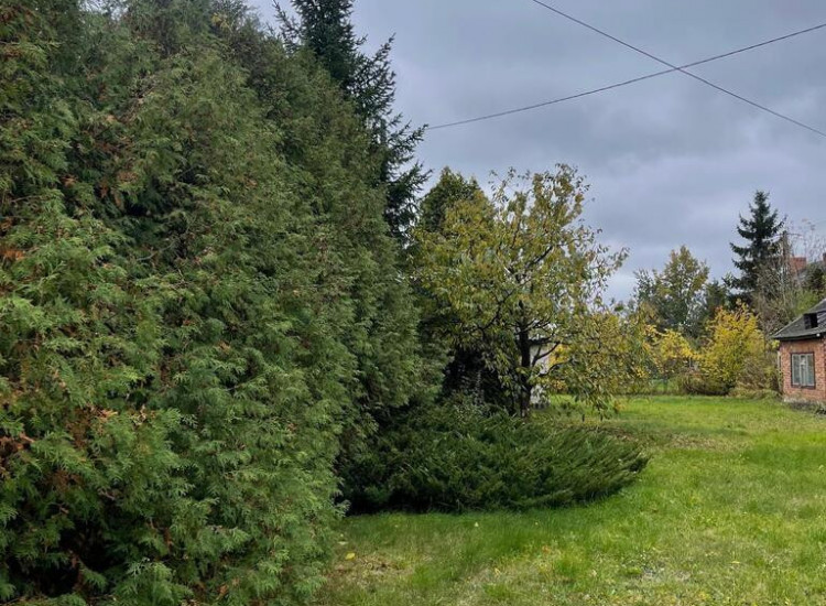 Teren inwestycyjny 4,19 ha koło Radzymina Ciemne
