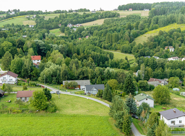 Działka Zalasowa Zalasowa