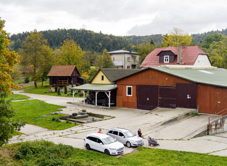 BURZYN - gospodarstwo, dom, ziemia, las (12,74 ha) Burzyn
